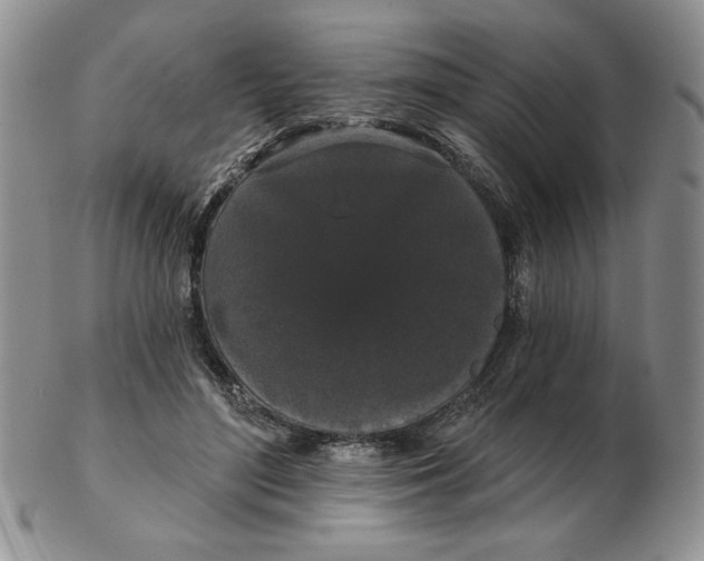 X0000103150500200809051640