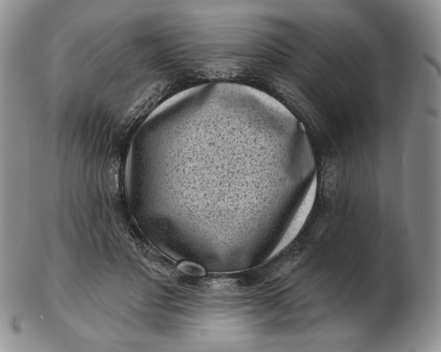 X0000103150501200809051640