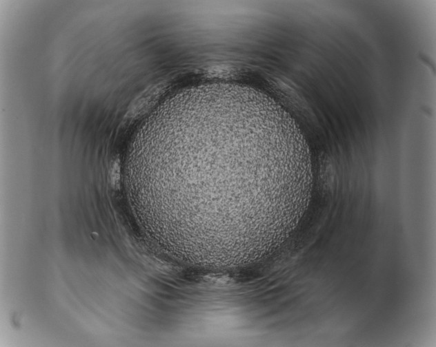 X0000103150502200809051640