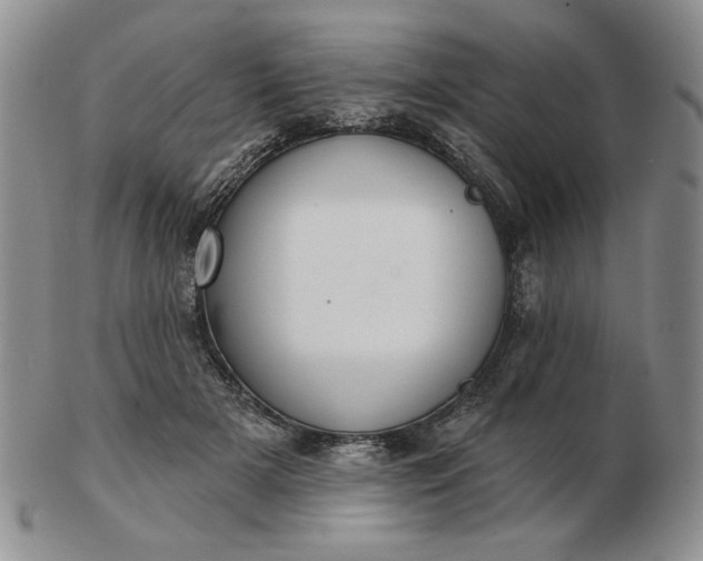 X0000103150505200809051640