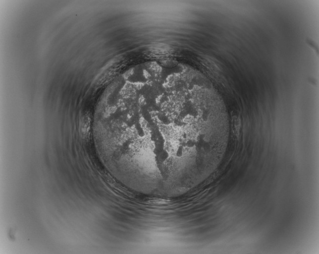 X0000103150507200809051640