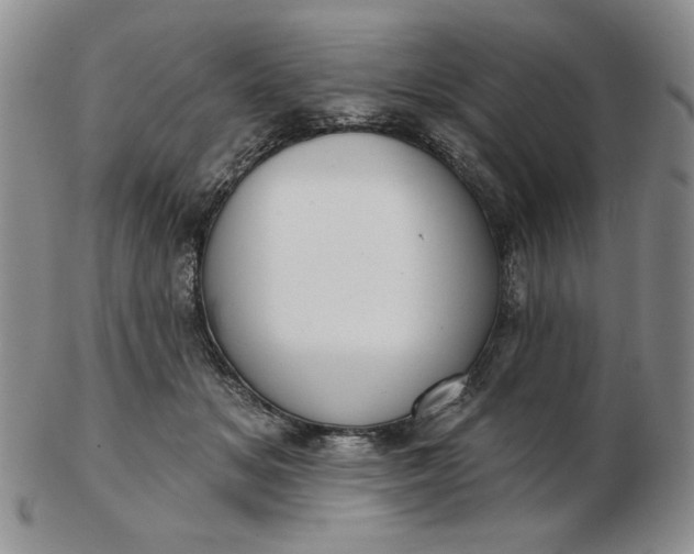 X0000103150509200809051640