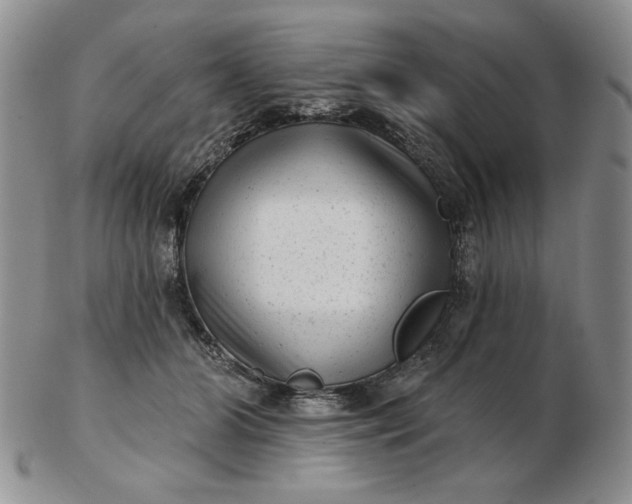 X0000103150510200809051640