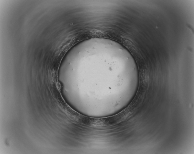 X0000103150511200809051640