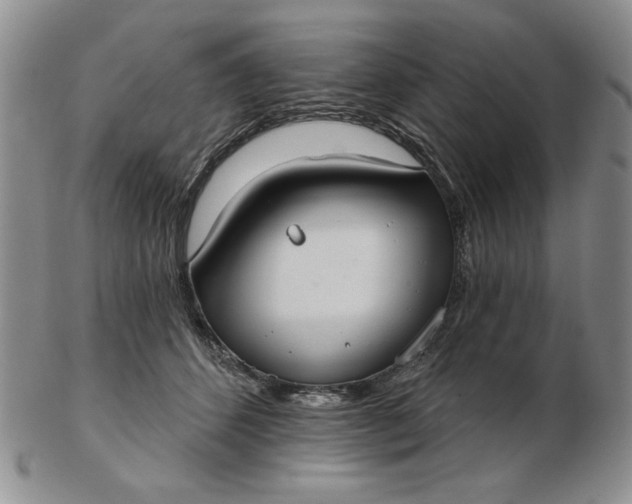 X0000103150512200809051640