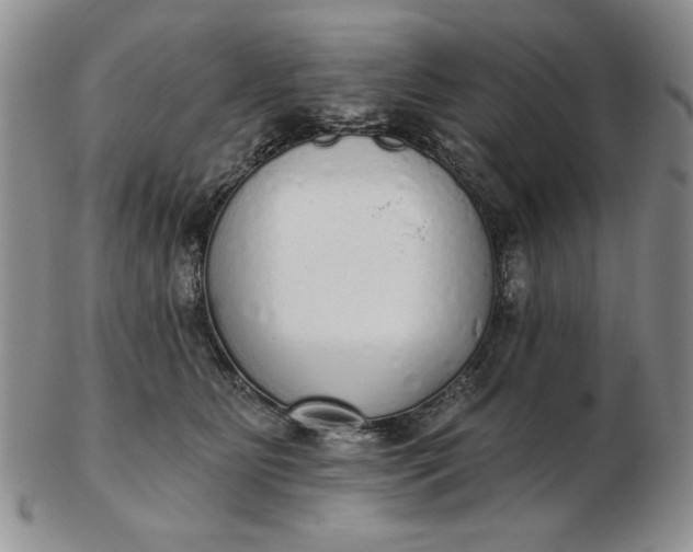 X0000103150515200809051640