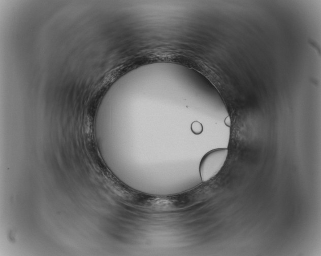 X0000103150518200809051640