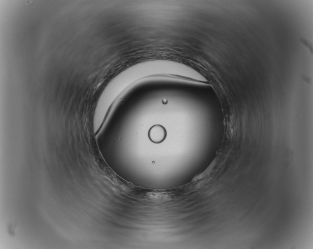 X0000103150520200809051640