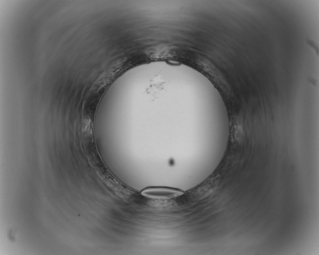 X0000103150521200809051640