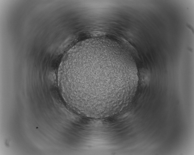 X0000103150523200809051640