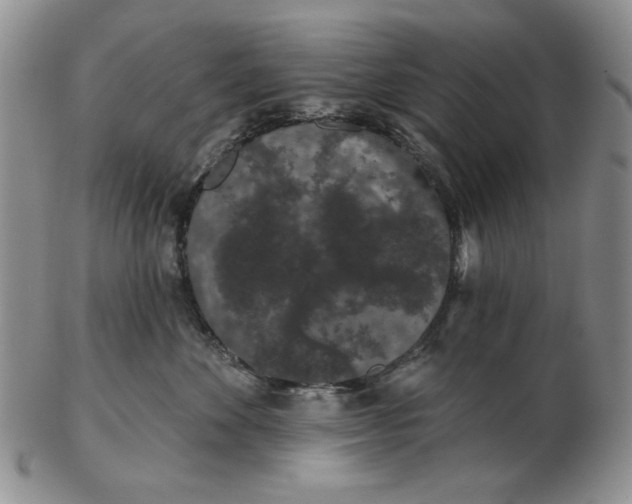 X0000103150524200809051640