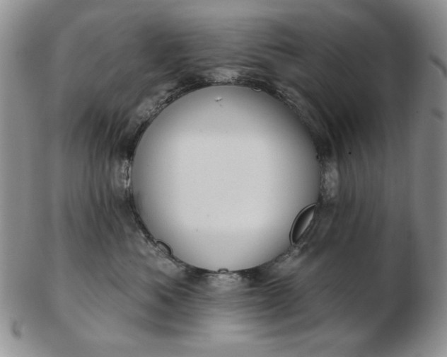 X0000103150525200809051640