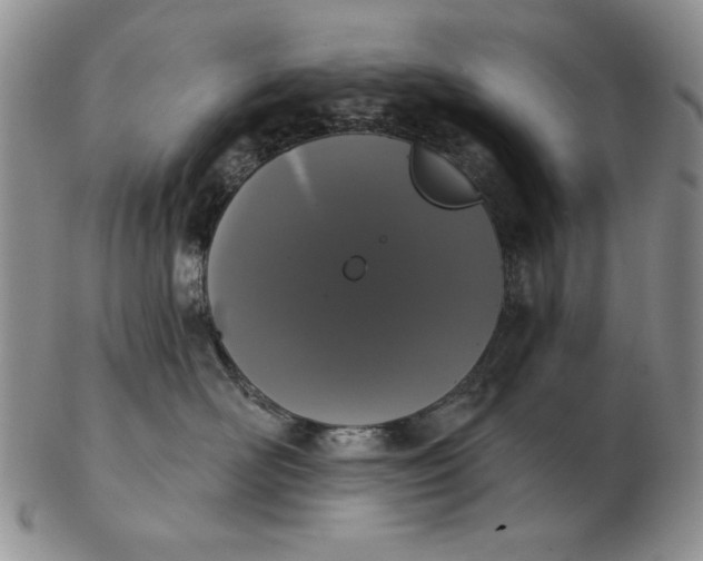 X0000103150526200809051640