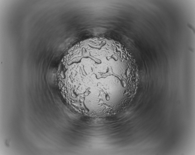 X0000103150527200809051640