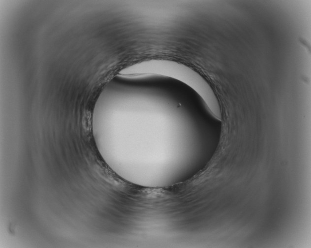 X0000103150528200809051640