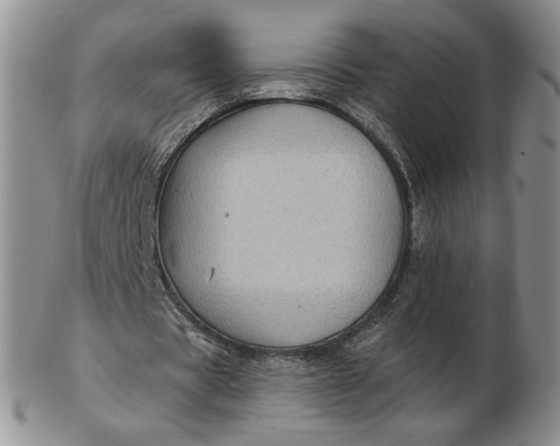 X0000103150529200809051639