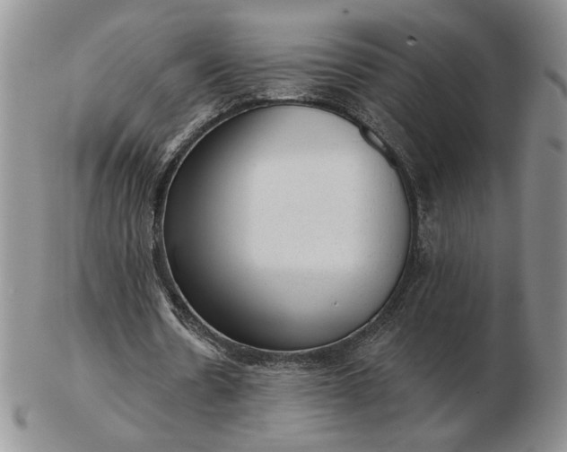 X0000103150530200809051639