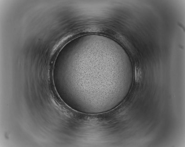 X0000103150531200809051639