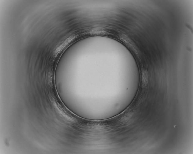 X0000103150533200809051639