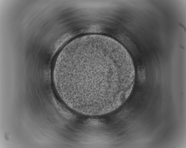 X0000103150534200809051639