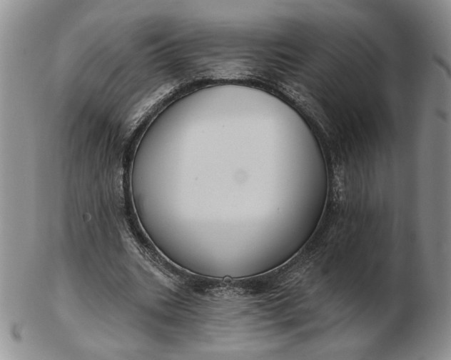 X0000103150535200809051639