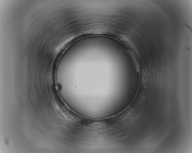 X0000103150536200809051639