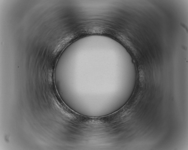 X0000103150537200809051639