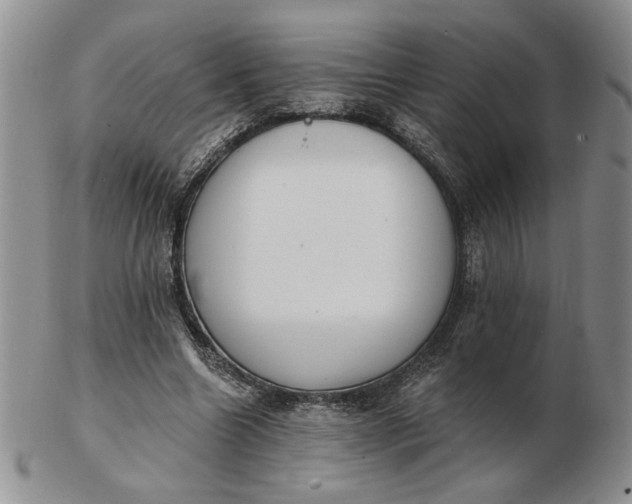 X0000103150538200809051639