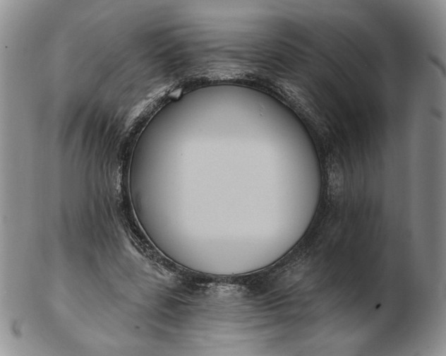 X0000103150539200809051639