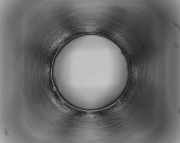 X0000103150542200809051639