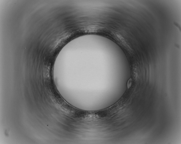 X0000103150543200809051639