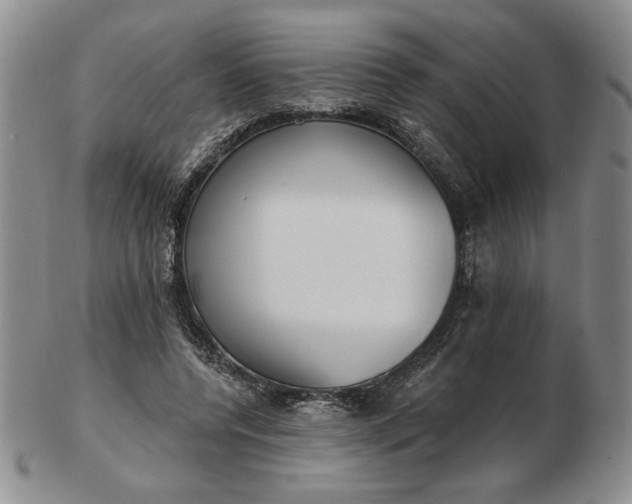 X0000103150544200809051639