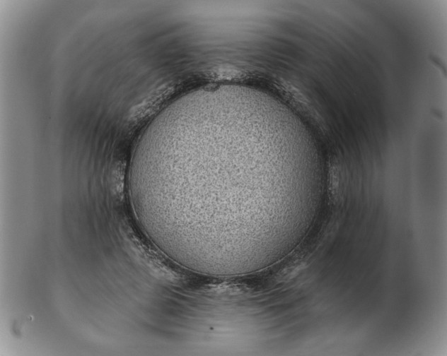 X0000103150545200809051639