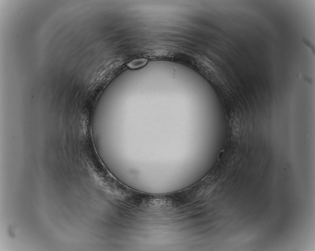 X0000103150546200809051639