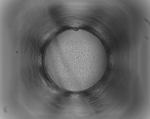 X0000103150547200809051639