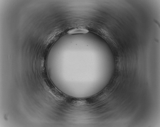 X0000103150548200809051639