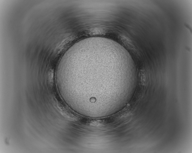 X0000103150550200809051639