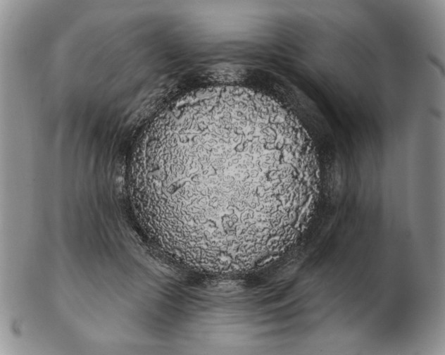 X0000103150553200809051639