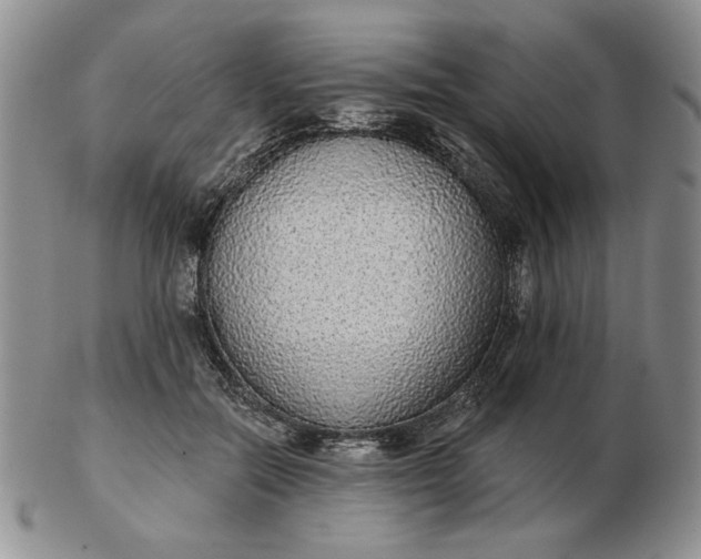 X0000103150554200809051639