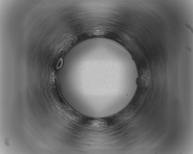 X0000103150555200809051639