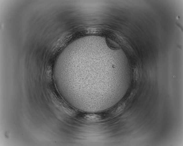 X0000103150557200809051639