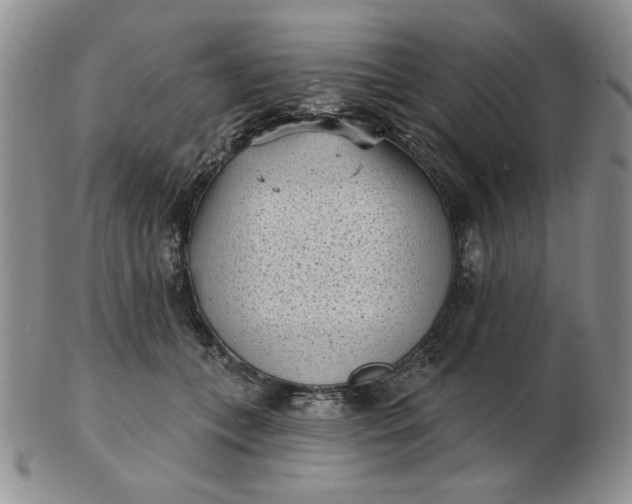 X0000103150559200809051640