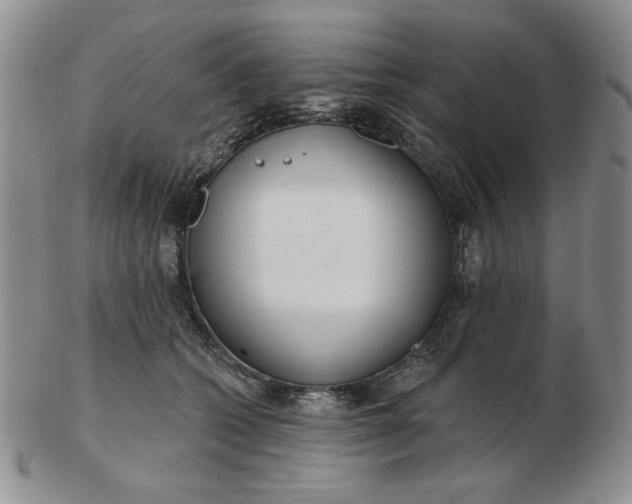 X0000103150562200809051640