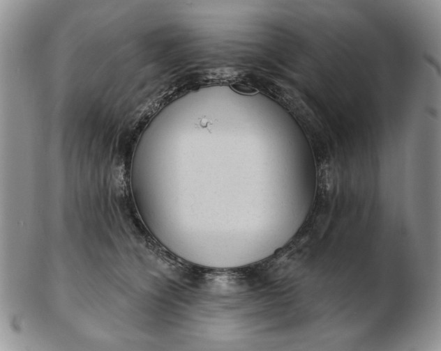 X0000103150564200809051640