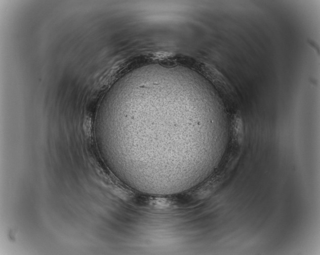 X0000103150565200809051640