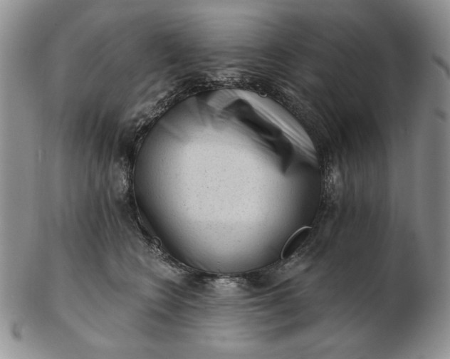 X0000103150566200809051640