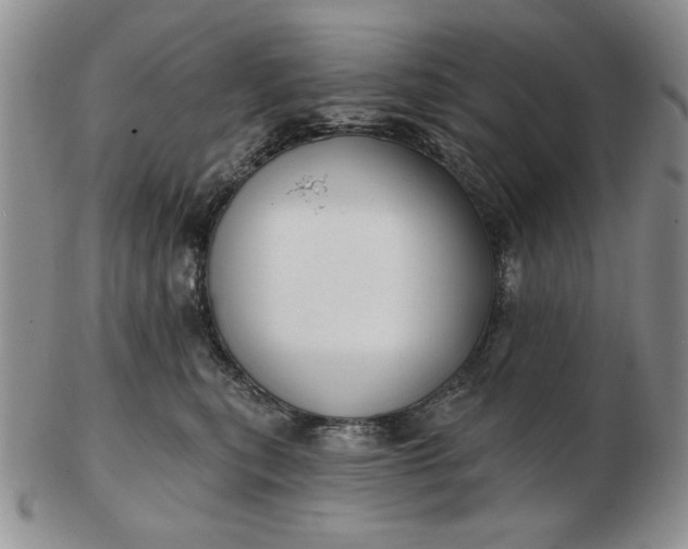 X0000103150567200809051640