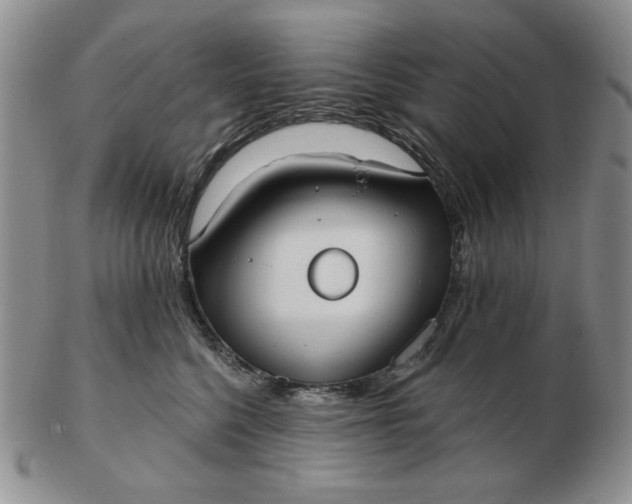 X0000103150568200809051640