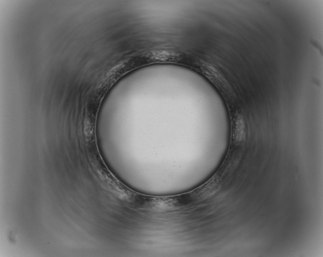 X0000103150569200809051640