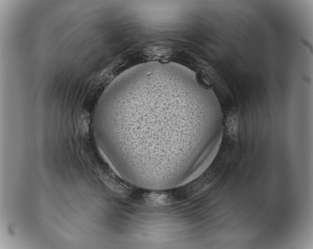 X0000103150570200809051640